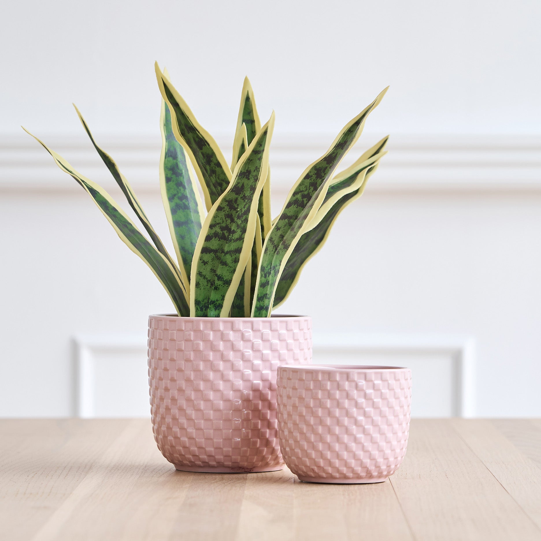 Sava Blumentopf D10.8 cm